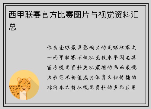 西甲联赛官方比赛图片与视觉资料汇总